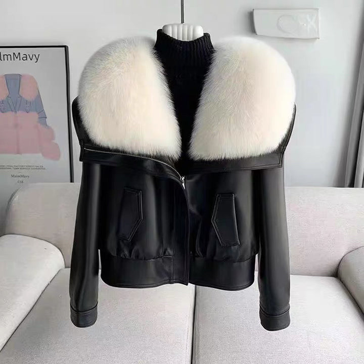 Andra Jacket