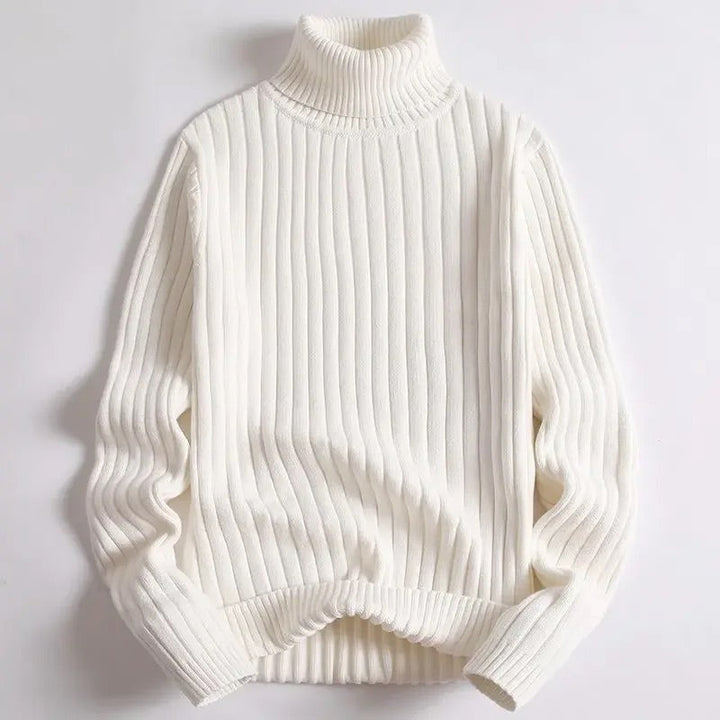 Axel Ribbed Turtleneck Sweater
